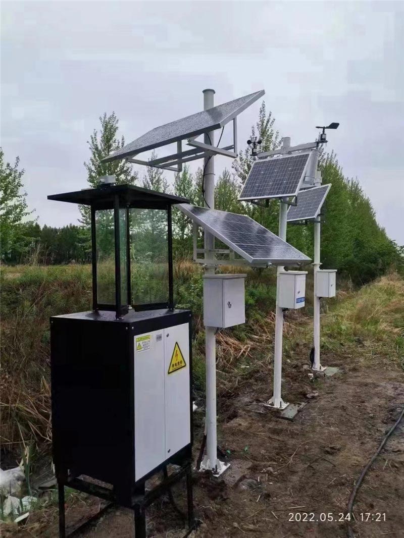 蟲情監(jiān)測 (4).jpg